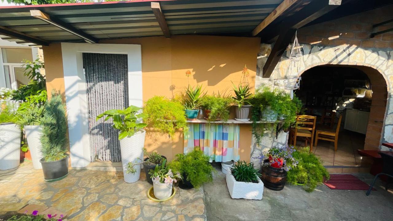 Colorful And Happy Apartment Sukosan - With Parking Экстерьер фото